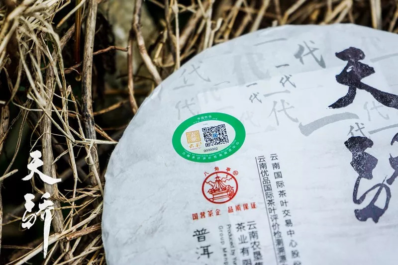 云茶天門山茶