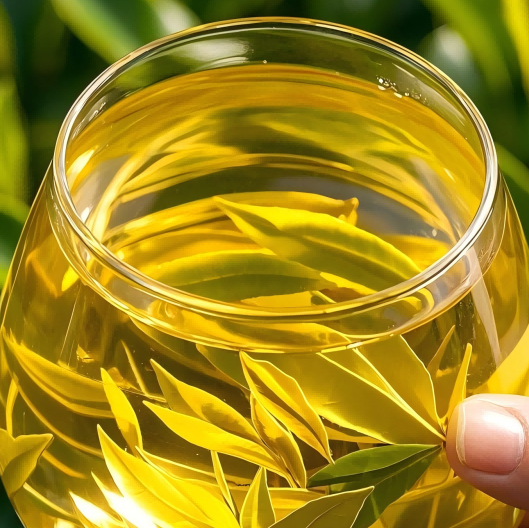 云茶黃金葉